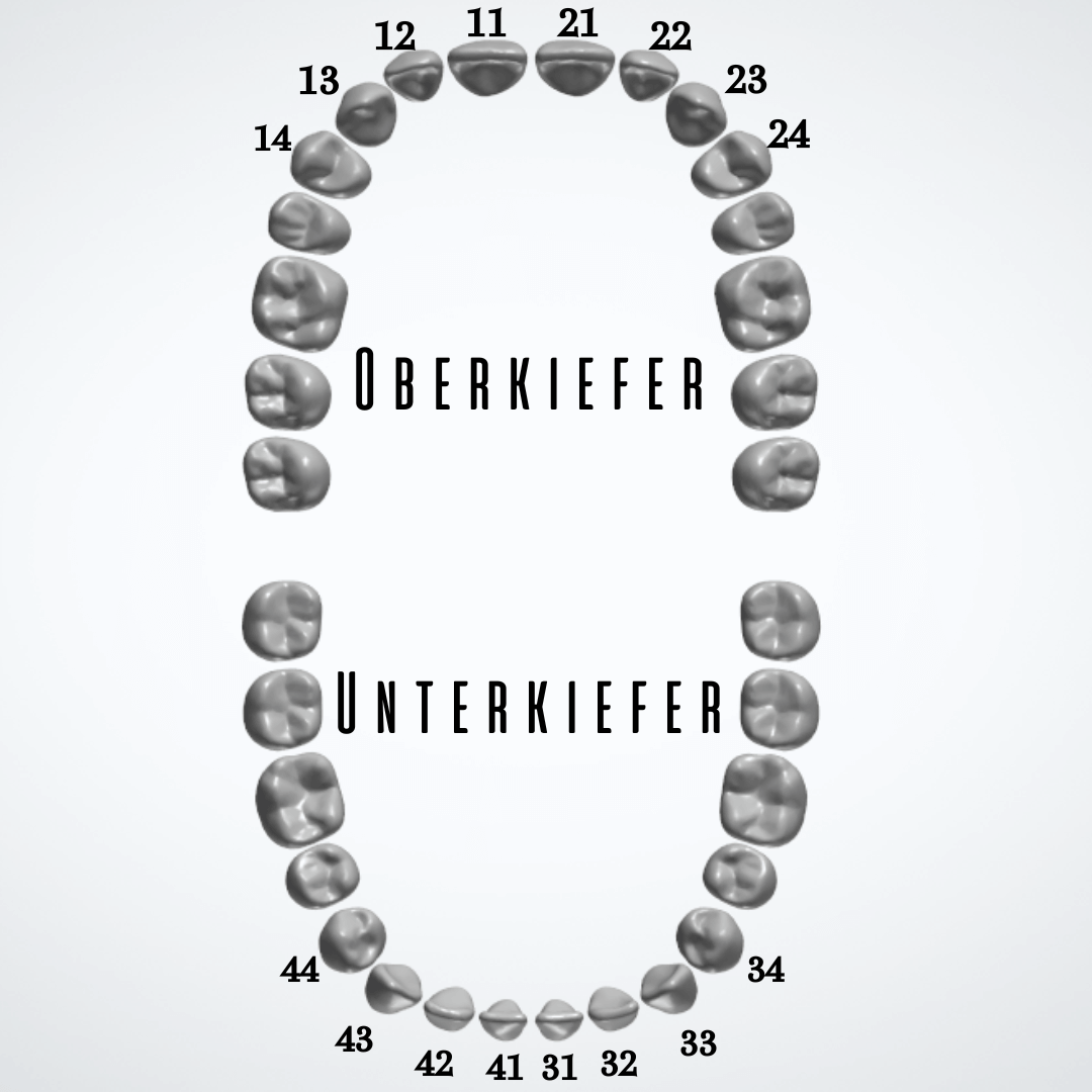 GRILLZ. Pair - Windowed - Chrom